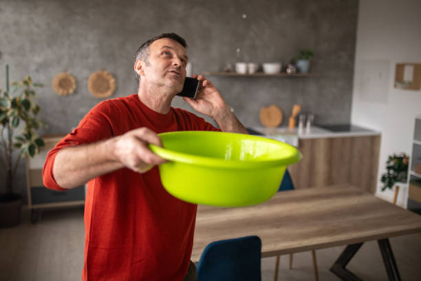 Best Roof Maintenance and Cleaning  in Kingston, WA