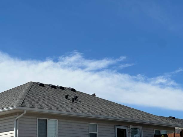 Best Asphalt Shingles Roofing  in Kingston, WA